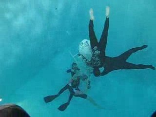 Descente de Loic et Fred en gueuse