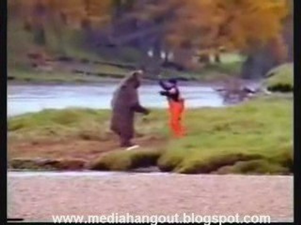 Funny videos combined