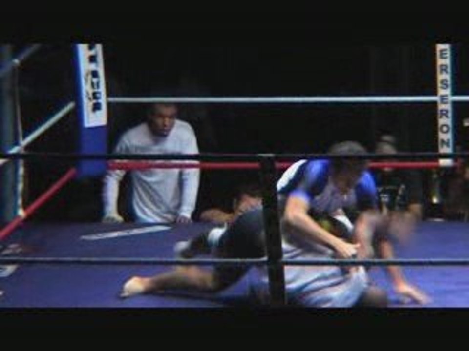 Trailer pin vs parisi