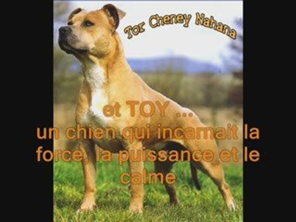 Toy 6 mois