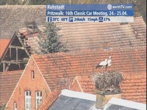 Arcachon - France, Ascona - Ticino - Switzerland, Yas Island - UAE - Abu Dhabi, Ruhstadt - Germany, Niagara Falls - Canada, New York - USA, Palma de Mallorca - Spain