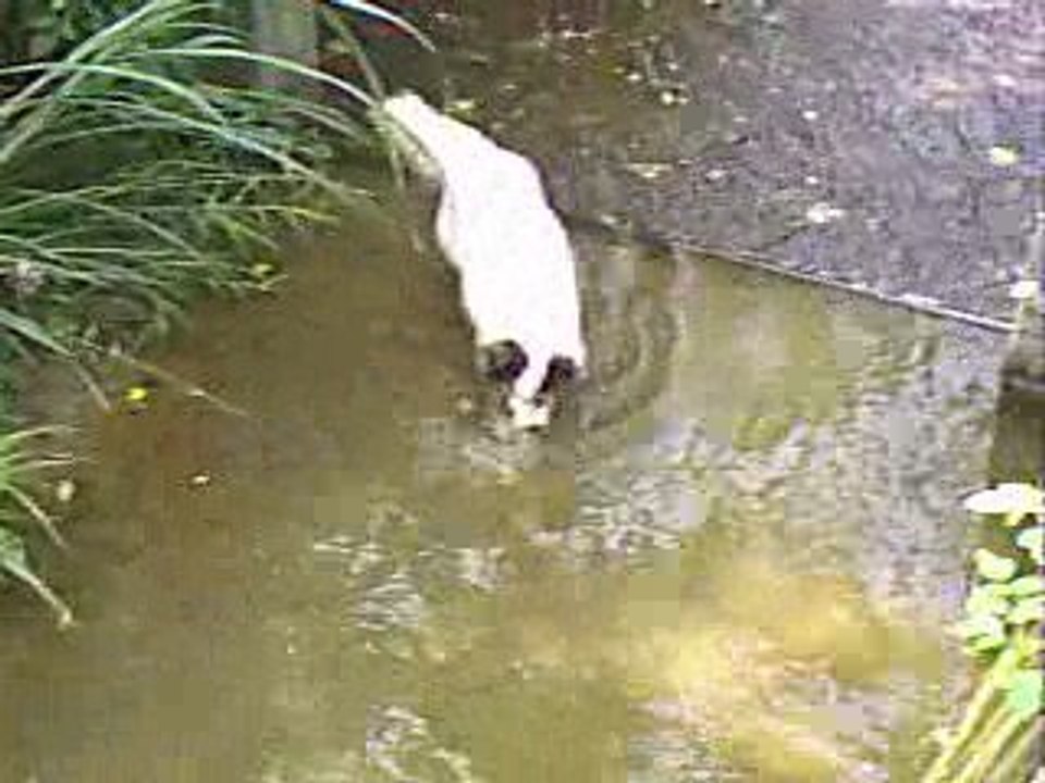 2005 04 18 (207)