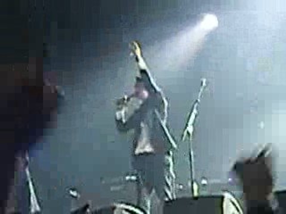 GAROROCK 09 BABYSHAMBLES