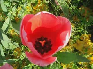 Fatih Erkoc - Ne Kadar Güzeldi O Günler