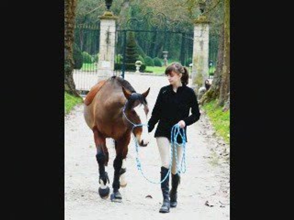 Des nouvelles de Flipper