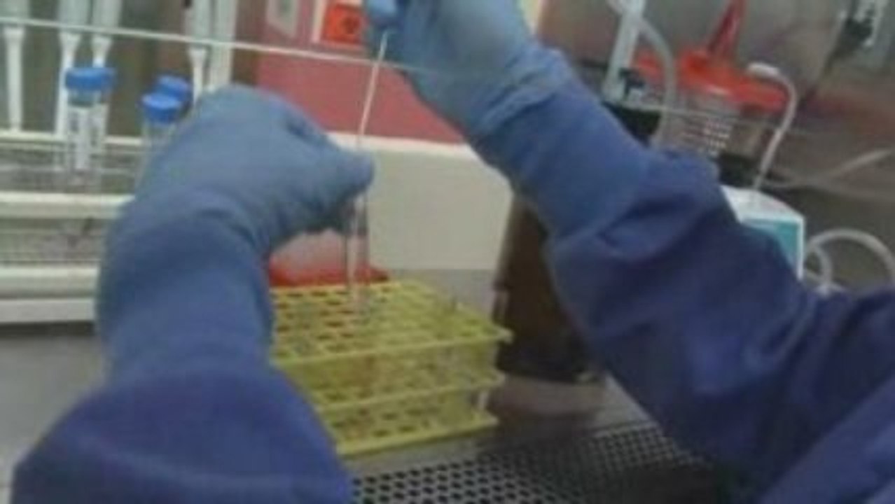 A Life Saved: Laboratory Professionals Make a Difference