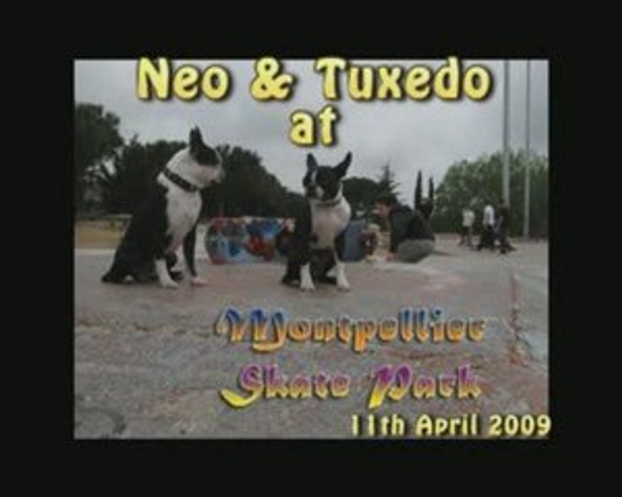 Neo and Tuxedo at Montpellier skatepark Part 2