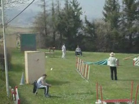 Concours Agility Villefranche 2009