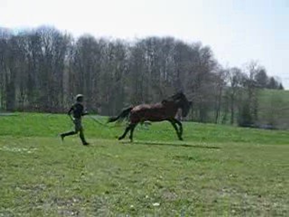 Miss eole en longe