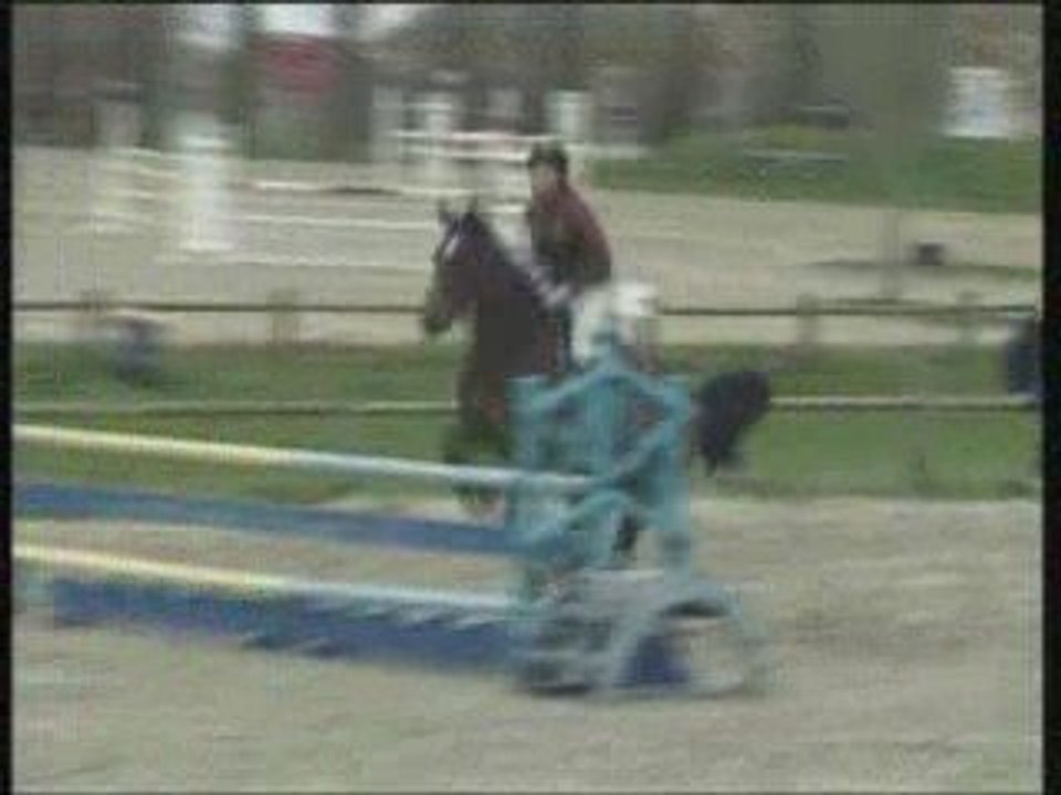 Nono 2009
