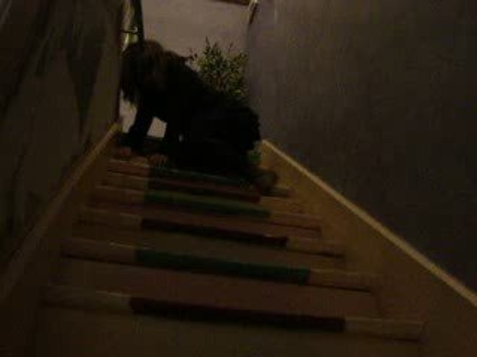 Chute dans les escaliers