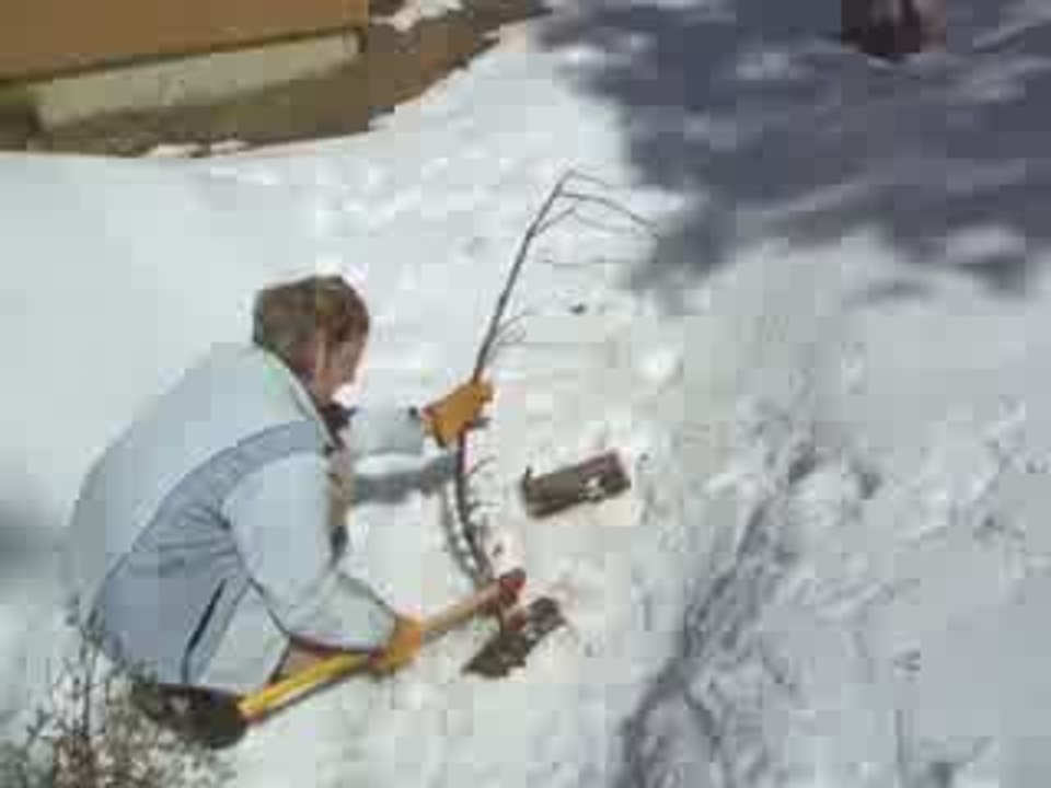 Fanny coupe une branche