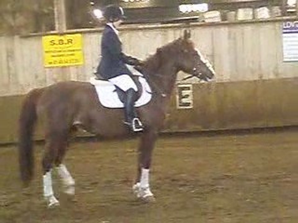 Concours Dressage 05 avril Orane et Mazorra