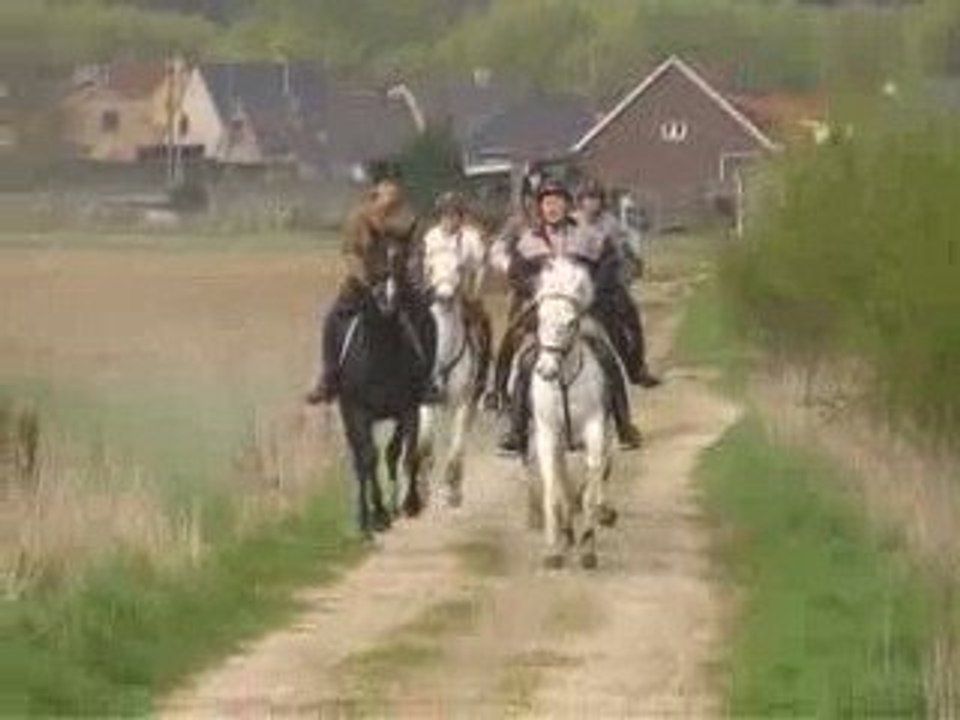 Horse's Farm,Ballade