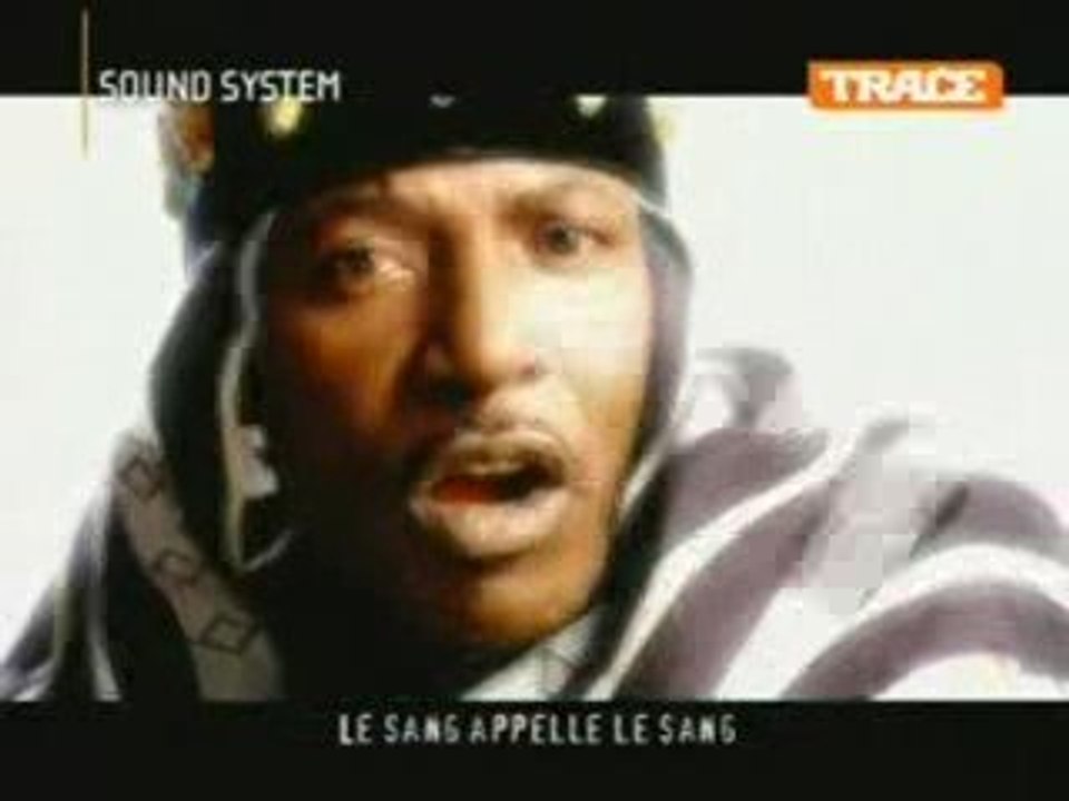 alpha blondy - journaliste en danger