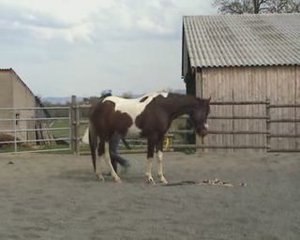 2009 Avril11 Rapsodie Pirelli