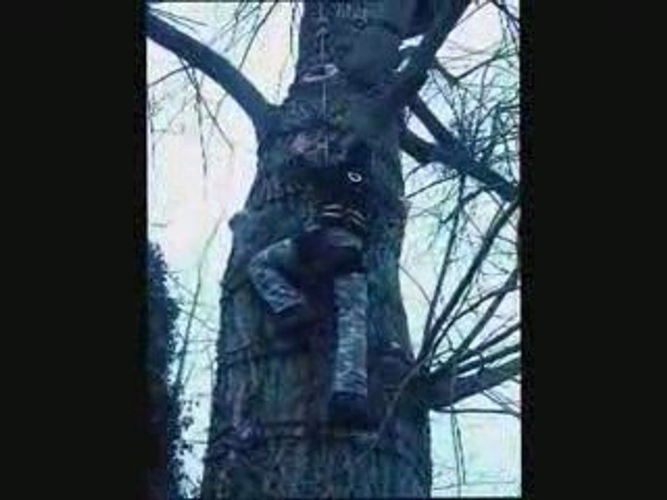 ESCALARBRE