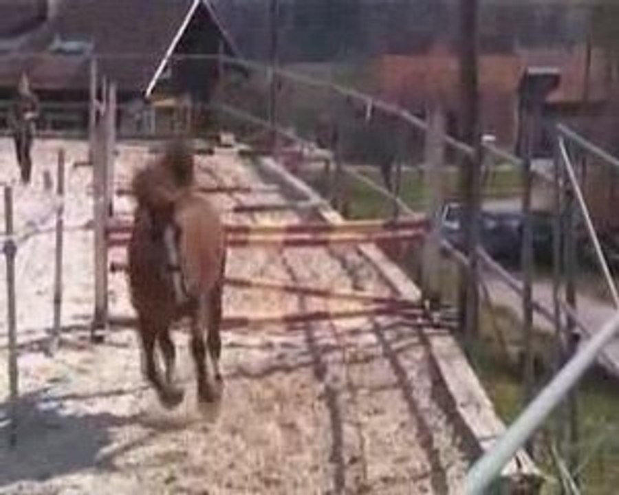 Passion platière saut en liberté