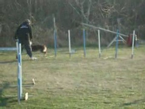 Agility Millery 2009 Cranberry Jumping hors concours