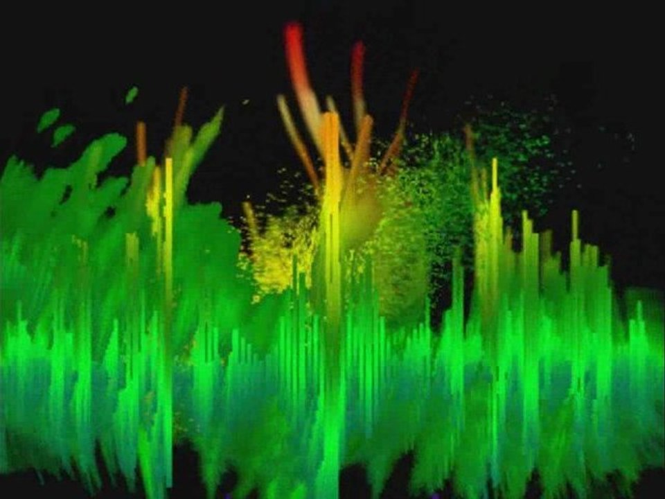 Festival de cerfs-volants 2009