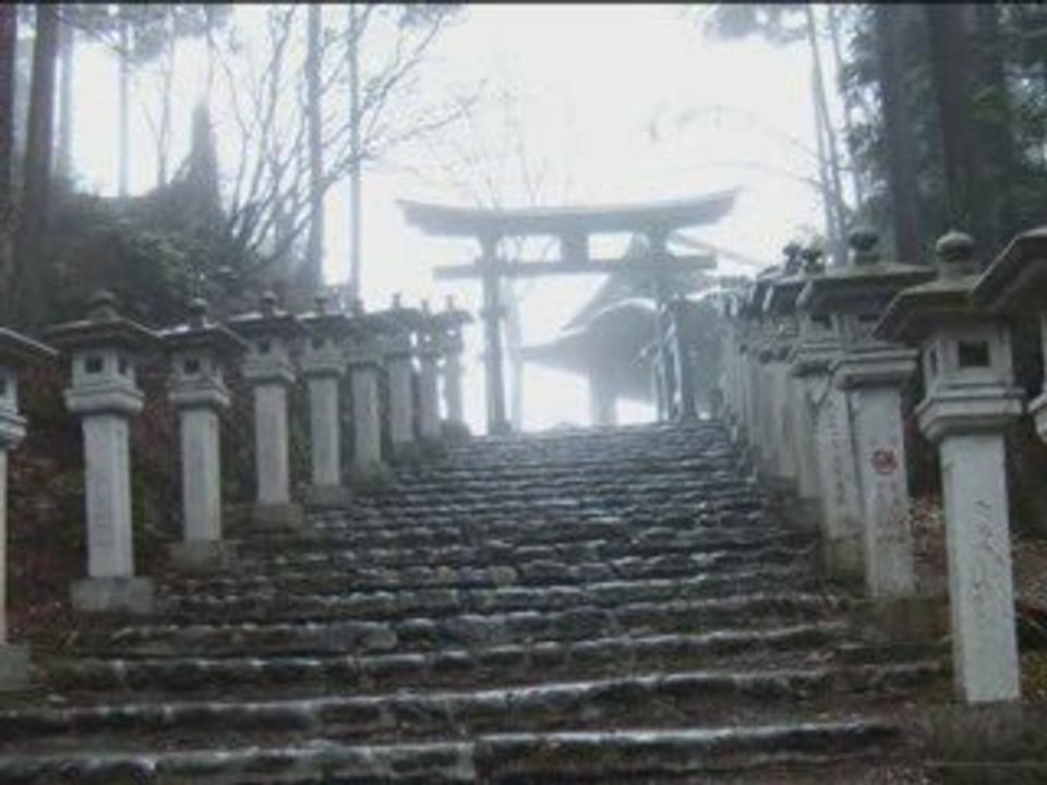 Kyokushin way