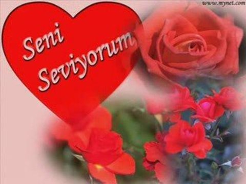 elvedayla süslenmiş bir yarının dünündeyim