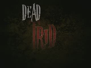 INTRO TRID CSS