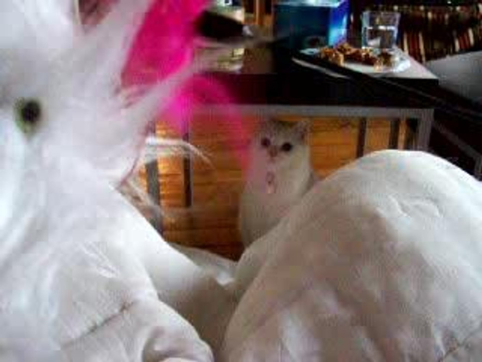 Quand Georgette rencontre Nenest