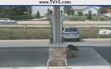 Parked car fail new