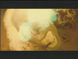 Promenons-nous dans les bois