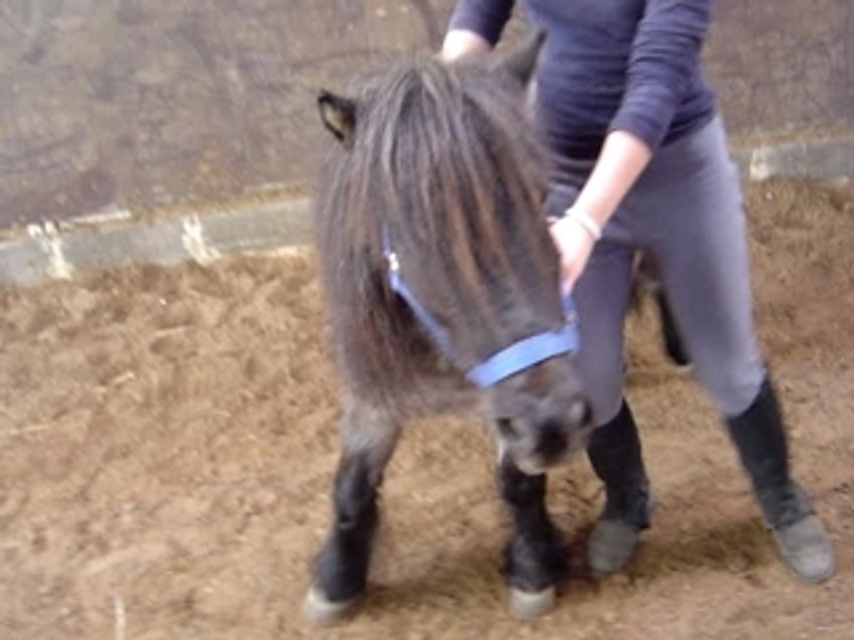 Gribouille & les déplacement latéraux