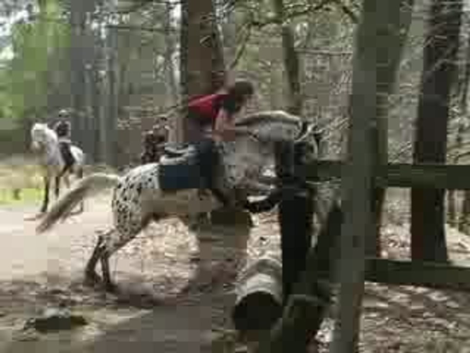 Mytère et moi en cross 2