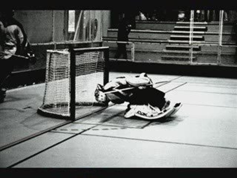 Roller-hockey_ N1 : Toulouse Hocklines / Lille North Patriot