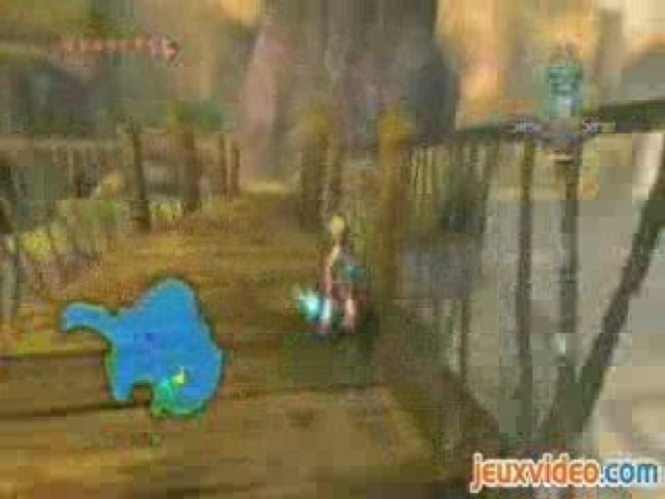 Zelda twilight princess