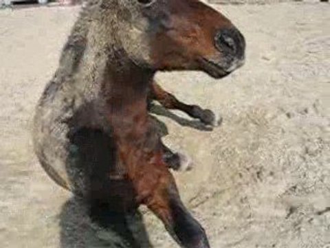 Gamin couché + début d'assis :)