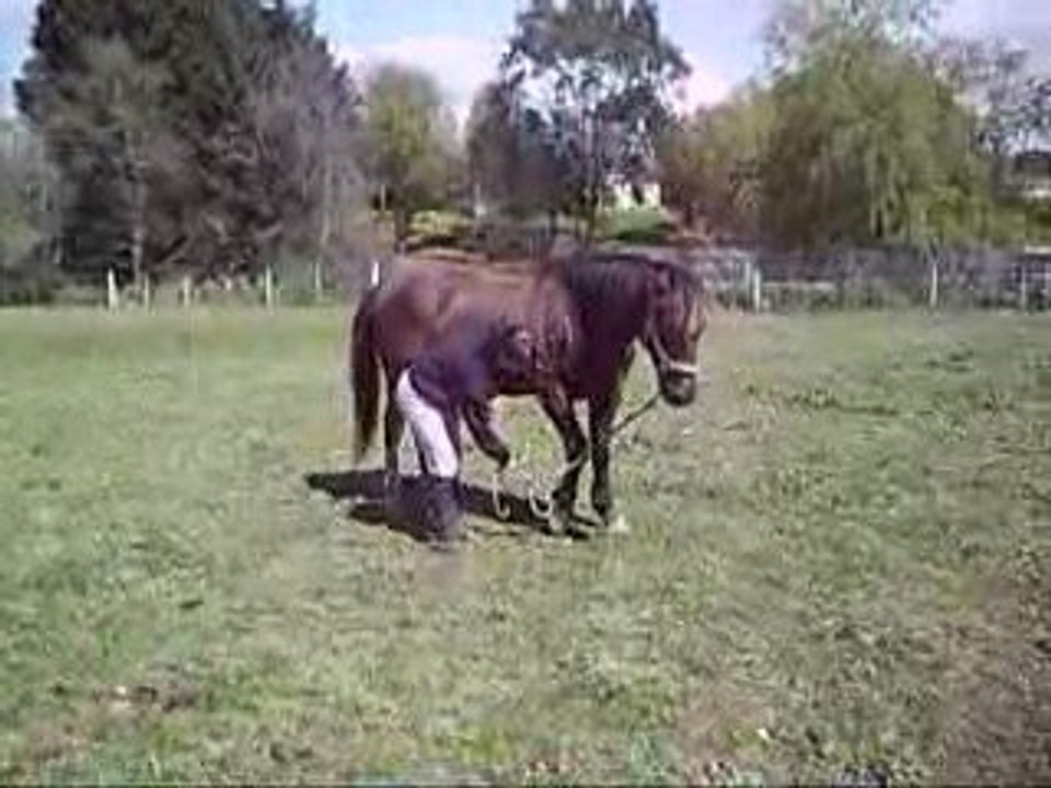 MOi & Joyce
