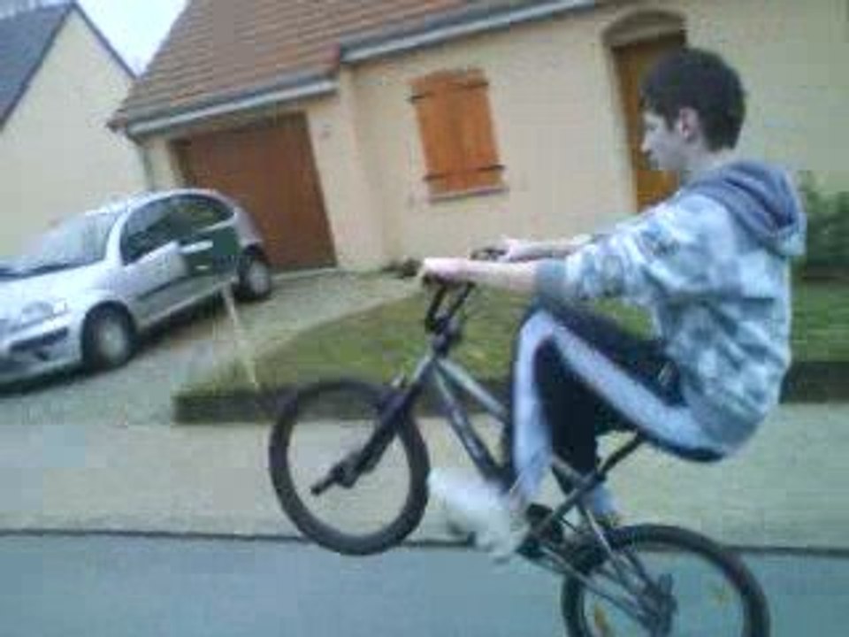 WILLING BERTRAND