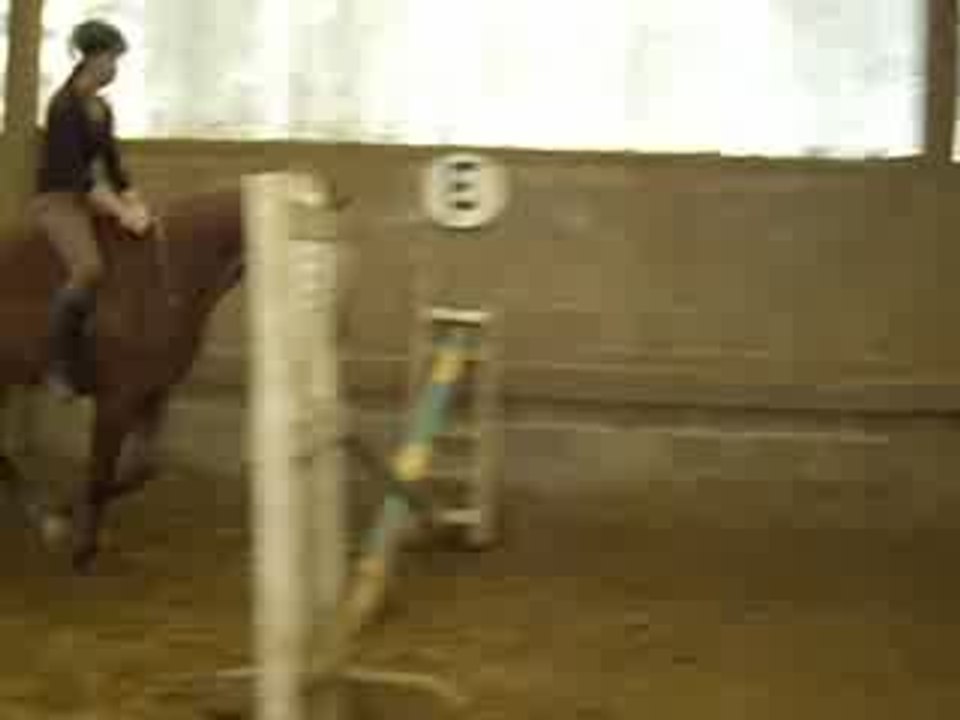 saut a crue