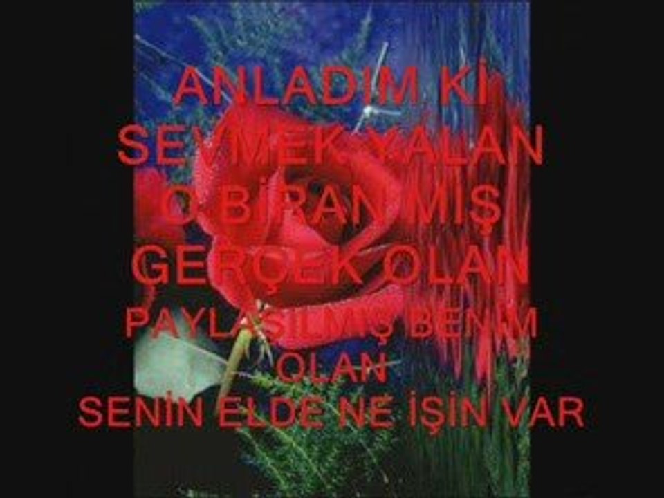 SERKAN KAYA SENİN ELDE NE İŞİN VAR