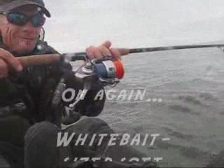 Catching frigate tuna & tailor from the kayak