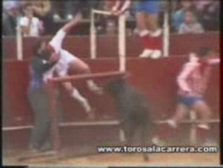 Becerrada las rozas 2002