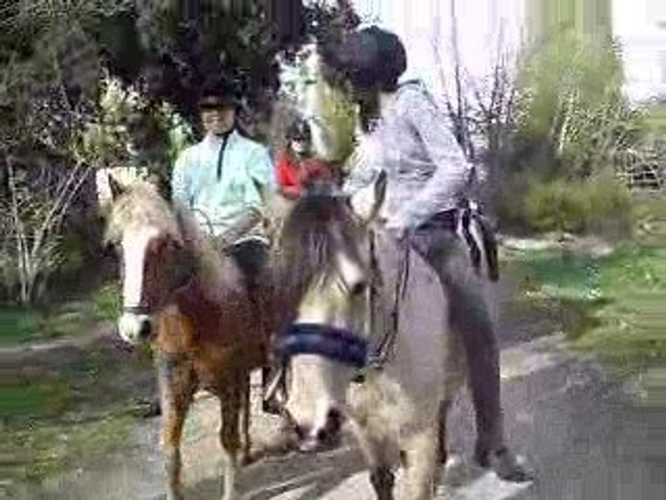 Equit 042