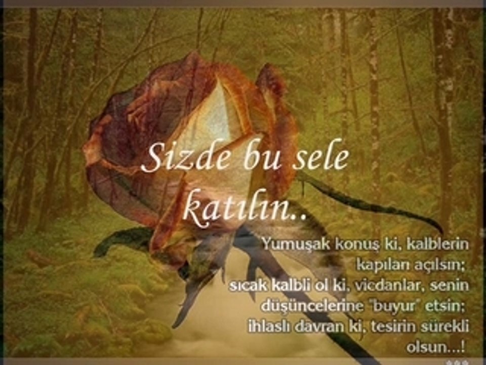 Islamseli