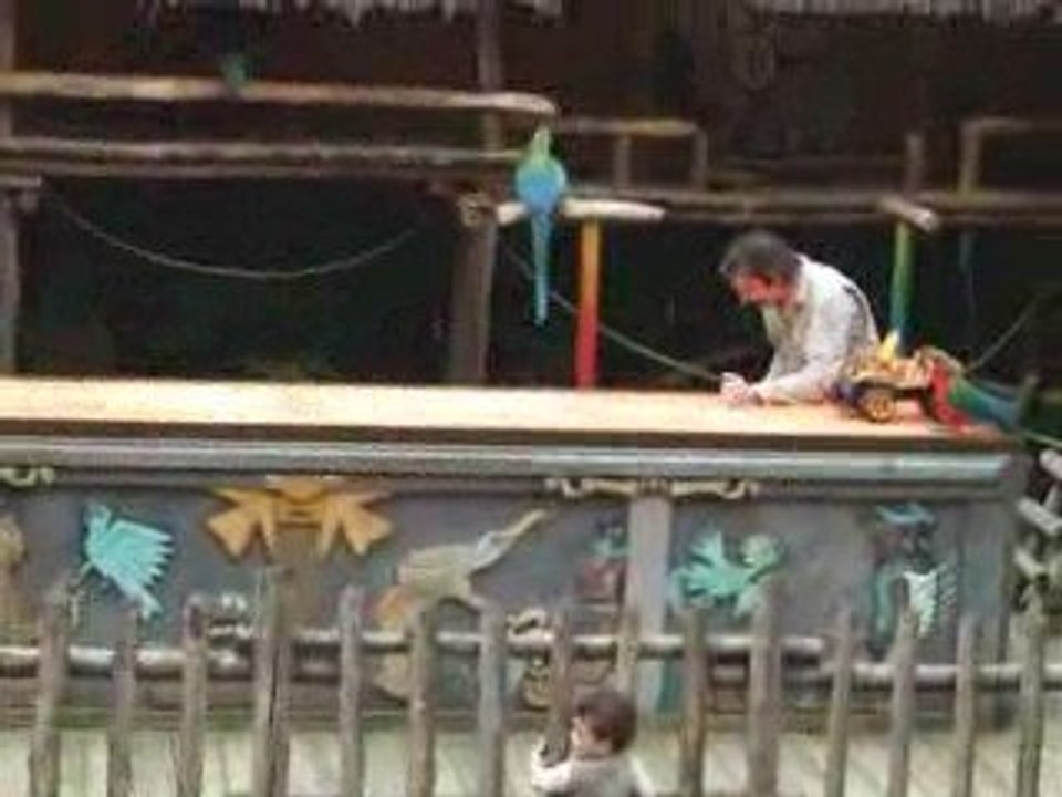 Perroquets au zoo dAmnéville