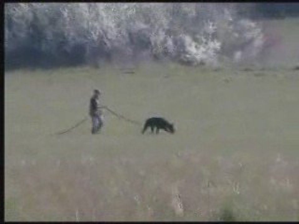 Urka pistage FCI 11 04 09