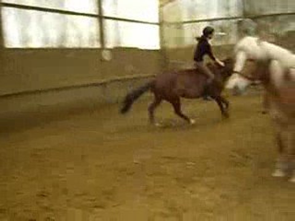 saut a crue
