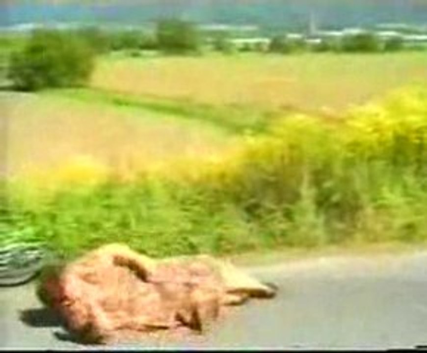 Une femme crève à vélo