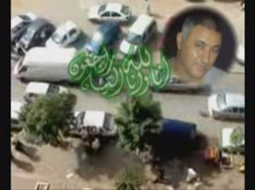 kamel betine