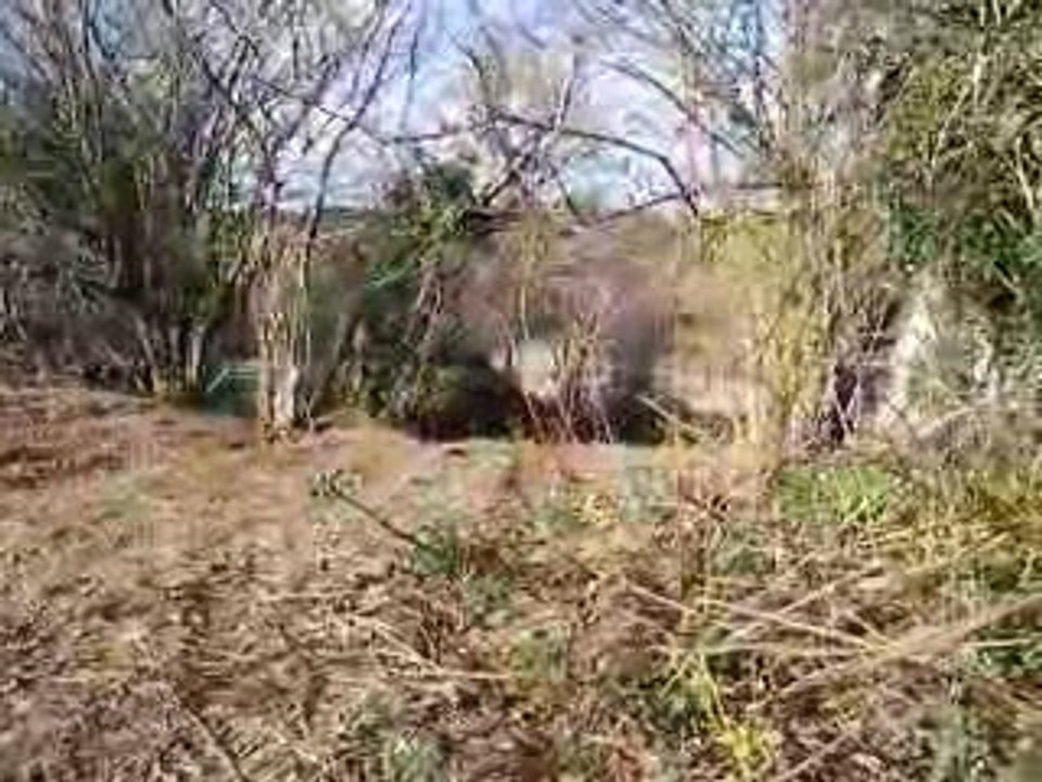 L'envol de Pepin ! ! !