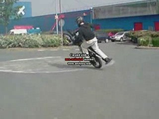 Royall circle ten veux ten a